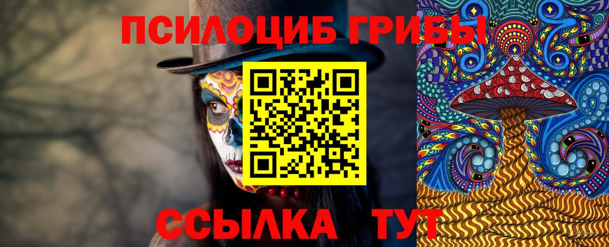 сколько стоит  Вход с VPN  Алексин  Галлюциногенные грибы мухоморы 